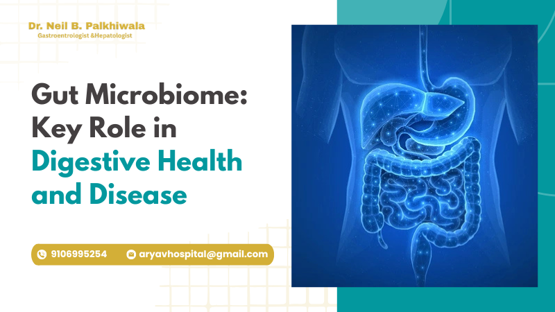 Gut Microbiome Digestive Health